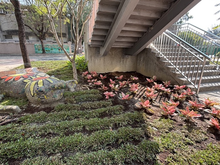 校園綠美化促進身心健康