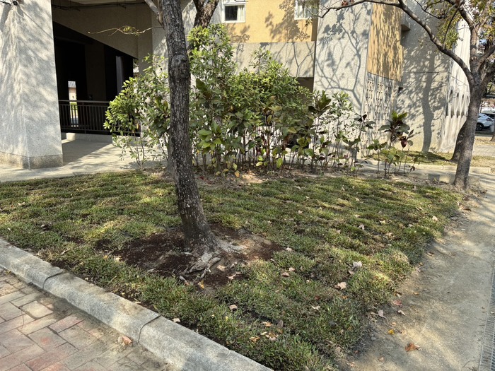 校園綠美化促進身心健康